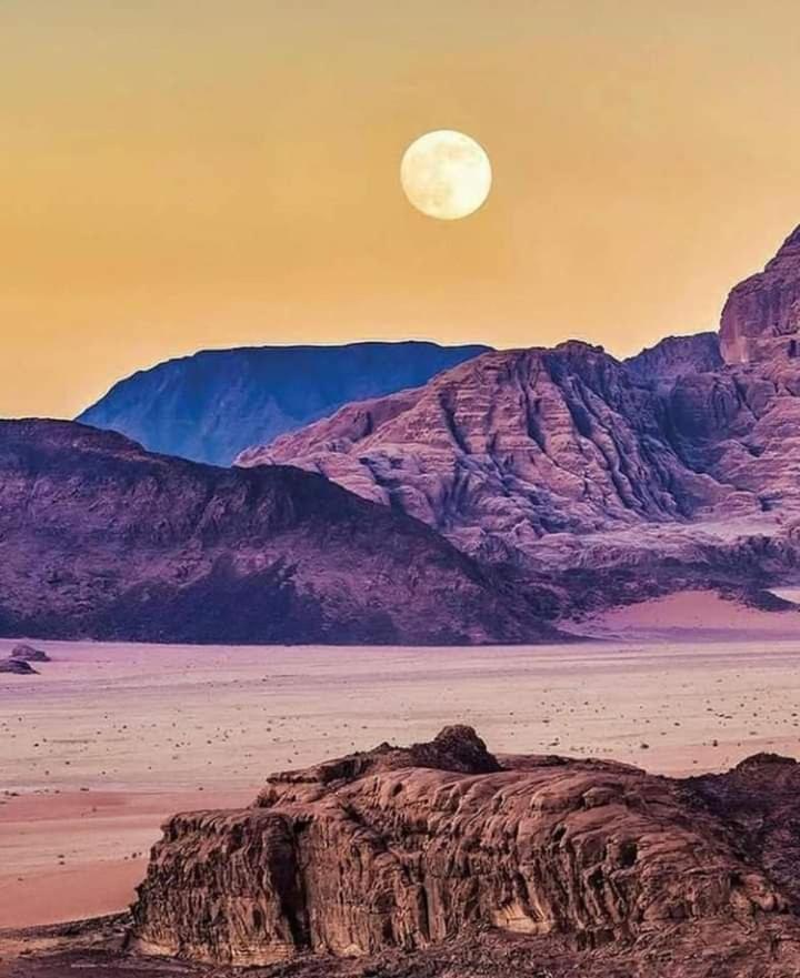 Mojo Camp, وادي رم المظهر الخارجي الصورة